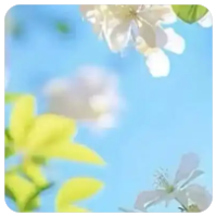 一个普通日子的细碎光亮